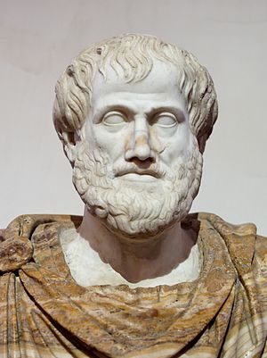 Bust of Aristotle. Marble, Roman copy after a ...